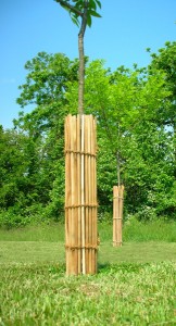 Tree Shelters in Maryland