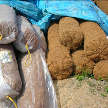 Coir Logs and Coir Matting in Maryland