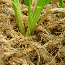 Coir Matting and Erosion Control Matting in MD