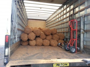 coir logs cost