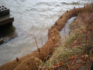 coir log installation