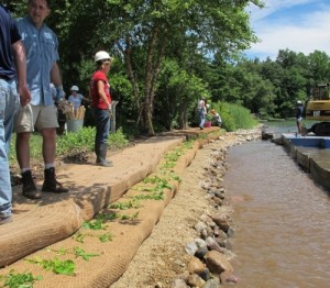 Koir Wrap 1000 Erosion Control Matting